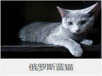曾都区吴亨贸易店