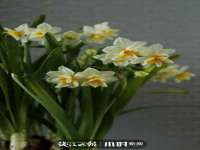 曾都区吴亨贸易店