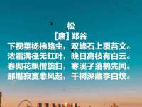 曾都区吴亨贸易店