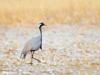 曾都区吴亨贸易店