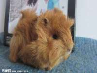 曾都区吴亨贸易店