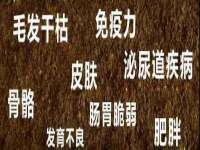 曾都区吴亨贸易店