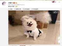 曾都区吴亨贸易店