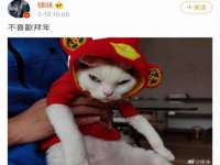 曾都区吴亨贸易店