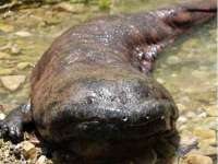 曾都区吴亨贸易店
